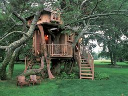 11 architectural ideas for fantastic tree houses