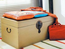 15 original and extravagant ideas for interior decoration with chests