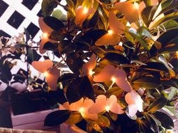 16 exclusive ideas for decorative lighting in the garden