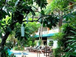 16 useful tips for pool design in the garden