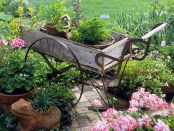 24 cool vintage flower pots in the garden