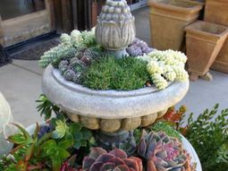 35 wonderful decoration ideas for the garden with succulents