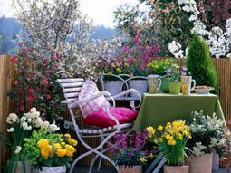 55 Balcony Greenery Ideas – Choose flowers for balcony and arrange