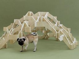 Architecture for Dogs – strange beds, kennels and toys