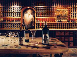 Artful wine cellar with a peak design by Patrick Wallen