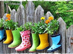 Balcony plants – cool space-saving ideas