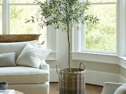 Beautiful garden design ideas indoors