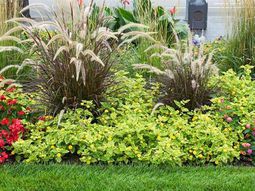 Beautify your yard – ideas for a welcoming atmosphere of spring in the garden