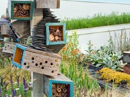 Build bird house itself – DIY instructions and 40 ideas for you