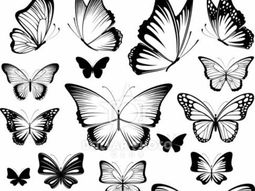 Butterfly tattoo meaning – beautiful and useful