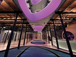 Ceiling covering turns the room into a work of art