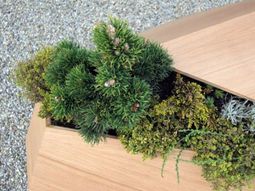 Chapütschin and Gion – Wooden Planters Ideas