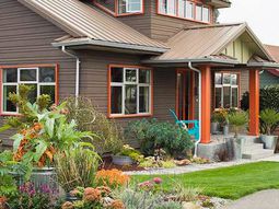 Compatible drought plants – beautiful garden ideas