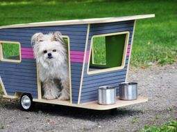 Cool caravans for Pets – Designer dog house on wheels