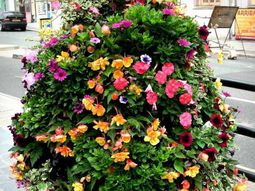 Cool flower towers – the absolute flowery garden design