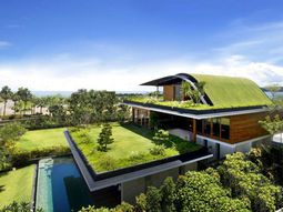 Cool garden design idea – green oasis on the roof terrace