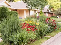 Cool Landscaping – planting the grass strip in front of your house