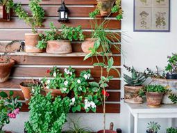 Create a vertical garden for your home by wooden panels