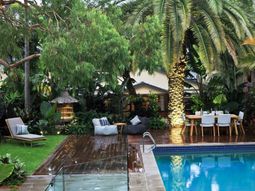 Create tropical mood with the right palm in the garden