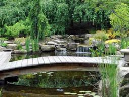 Creating a garden pond – pictures and ideas for creative landscaping