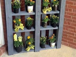 Creating a vertical garden and flower – DIY from Euro pallets