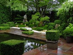 Creating a Zen garden – the main elements of the Japanese garden