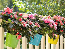 Creative garden design – space saving ideas