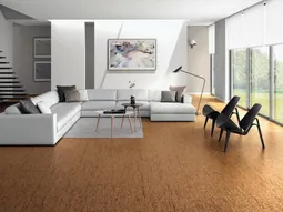 Disadvantages of cork flooring – Learn more from Cork and its properties