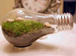 DIY decoration from bulbs – 120 craft ideas for old light bulbs