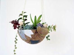 DIY hanging flower pot from coconut