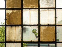 Do it yourself ideas Plexiglas®