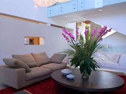 Effect Full Suspension light in the living room interior