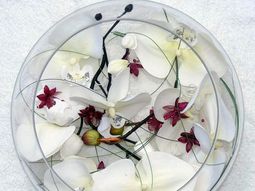 Elegant table decoration with orchid – tender and decoration: