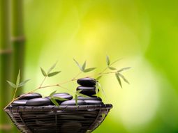 Feng Shui philosophy – you heal your home and your privacy