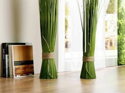 Feng Shui plants for harmony and positive energy in the living room