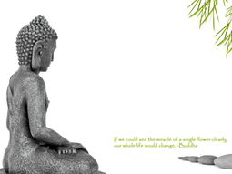 Feng Shui Rules – Tips for Designing a Feng Shui home
