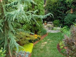 Follow Lightweight landscape ideas and rules