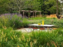 From the wilderness home: Elements eventful landscapes