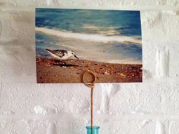 Funny summer pictures – DIY Wall Art and Decorations issued