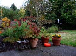 Garden design ideas for the upcoming fall season