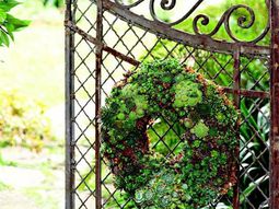 Garden Design: Plant a living wreath