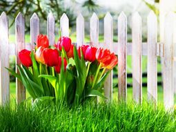 Garden fence design – 20 inspiring examples of self-made garden fences