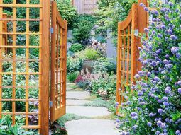 Garden paths and garden programs – Ideas for Landscaping
