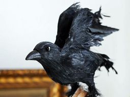 Ghostly Halloween decorating ideas to do it yourself