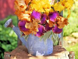 Great garden design with decoration of flower pots
