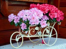 Great Ideas for creative flower pots