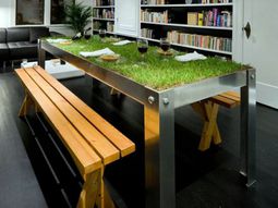 Green home accessories inspired ideas from nature