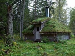 Green Roof Garden House – Exterior in Green