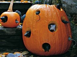 Halloween decoration do it yourself – festive craft ideas