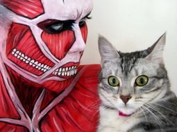 Halloween Makeup – Ideas of a talented make-up artist